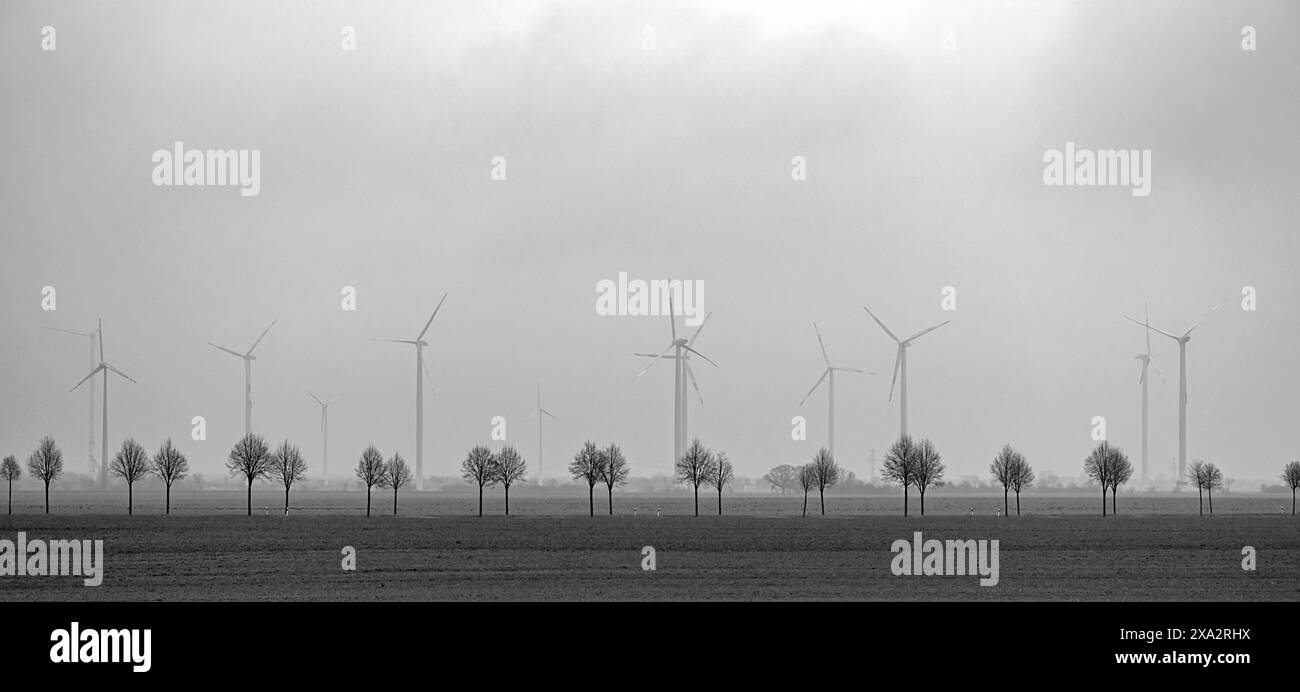 Jungbaumallee und Windräder an der Autobahn, Thüringen, Deutschland Stockfoto