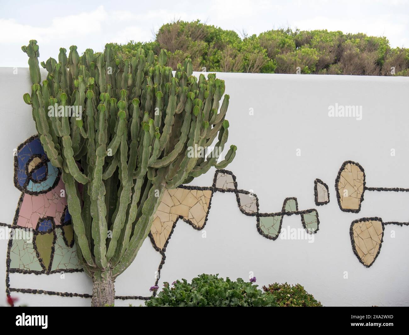 Großer Kakteen vor einer weiß bemalten Wand mit Wandmalereien und Gartenpflanzen, Lanzarote, Spanien Stockfoto