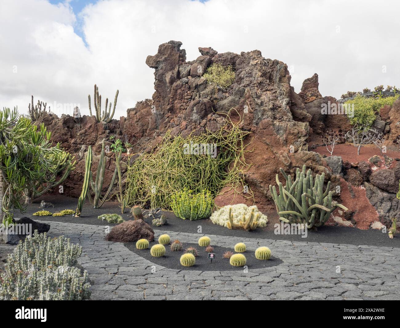 Ein felsiger Garten mit verschiedenen Kakteen und Sukkulenten vor vulkanischen Felsen unter bewölktem Himmel, Lanzarote, Spanien Stockfoto