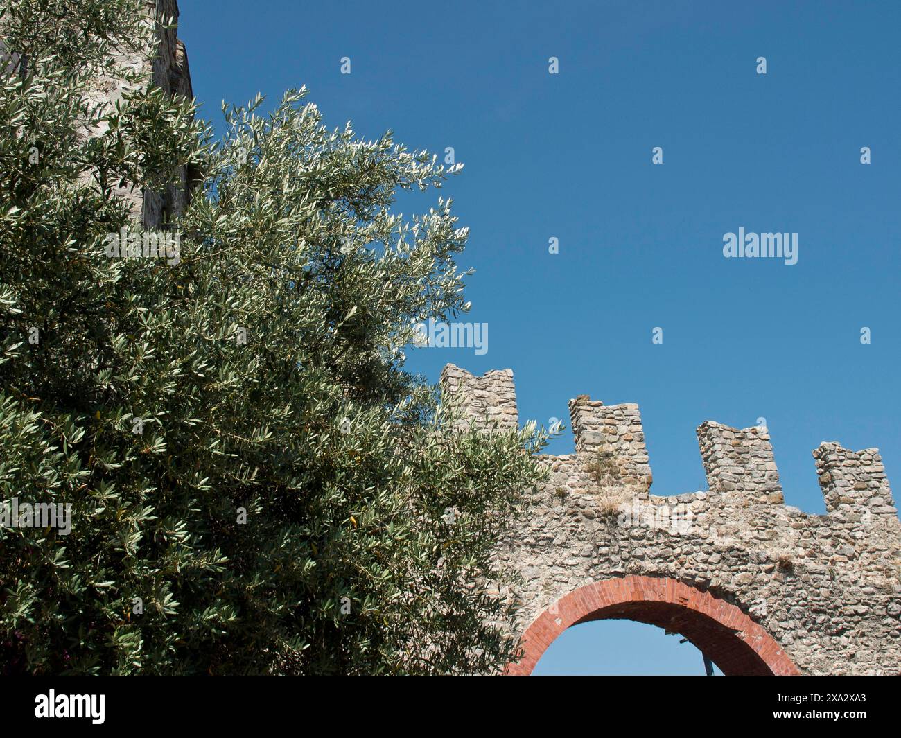 Teil einer alten Ruine aus Stein mit Pflanzen und klarem blauen Himmel im Hintergrund, Bari, Italien Stockfoto