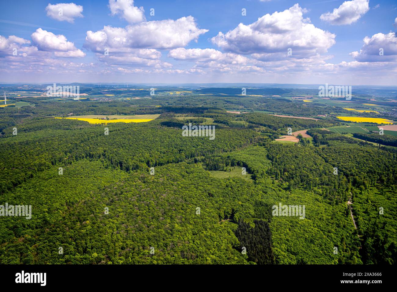 Luftbild, Naturschutzgebiet Hinnenburger Forst mit Emder Bachtal, herzförmige Rodung, Alhausen, Bad Driburg, Ostwestfalen, Nordrhein-Westpha Stockfoto