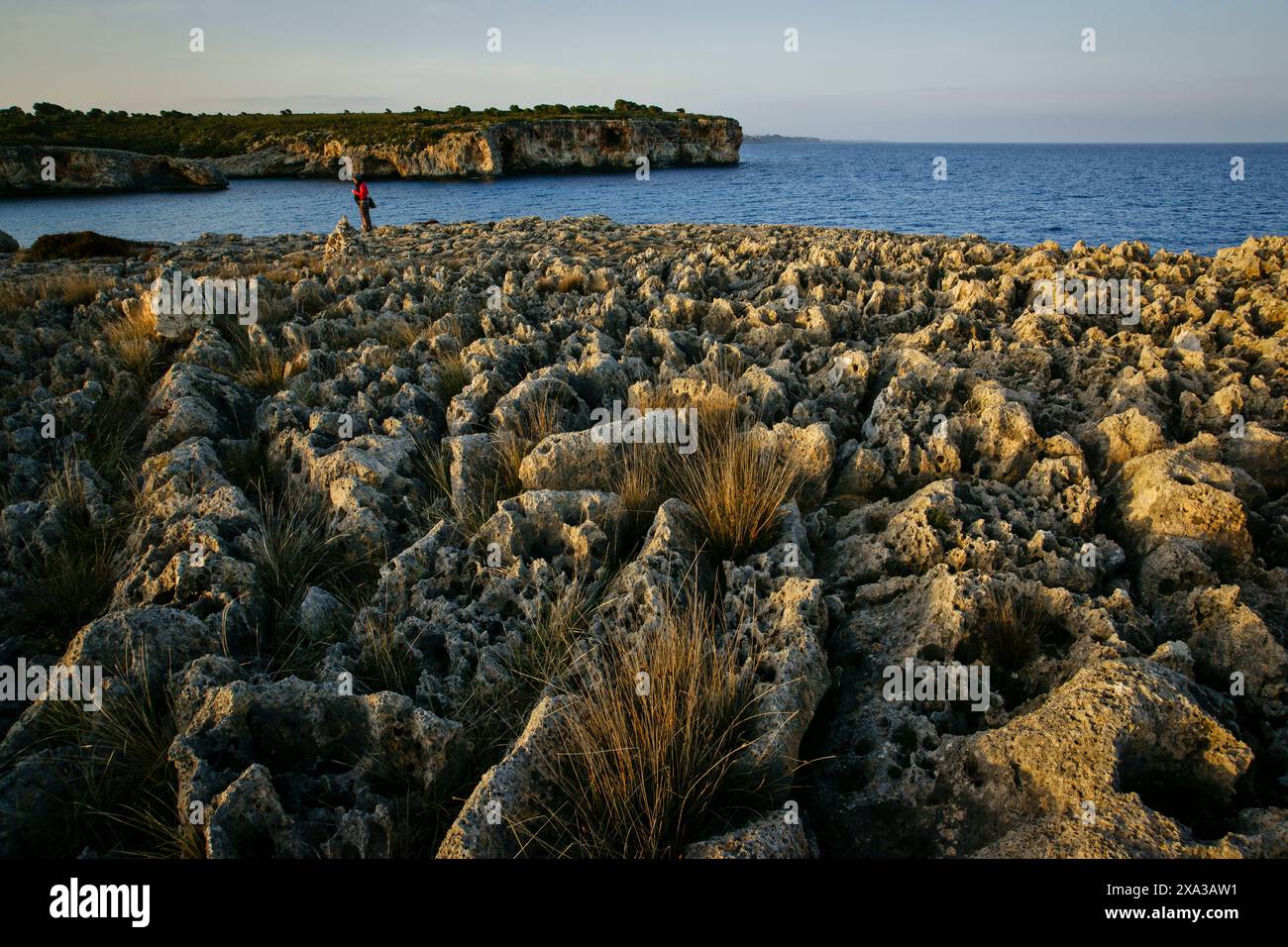 Cala Varques, eine unberührte Bucht in der Gemeinde Manacor, Mallorca, Spanien Stockfoto