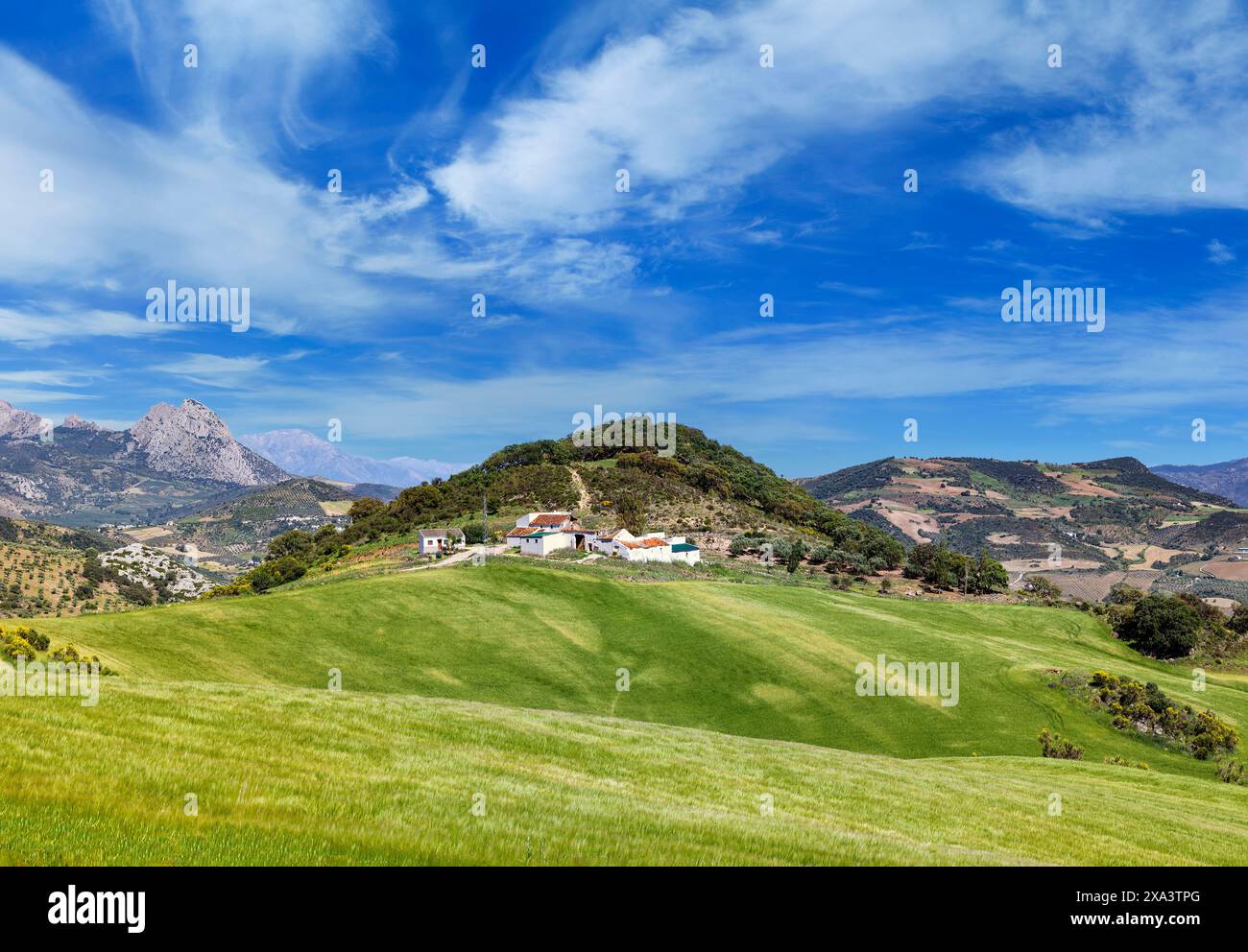 Ackerland am Rande von El Torcal, einer Kalksteinregion in der Nähe von Antequera, Provinz Malaga, Andalusien, Spanien Stockfoto