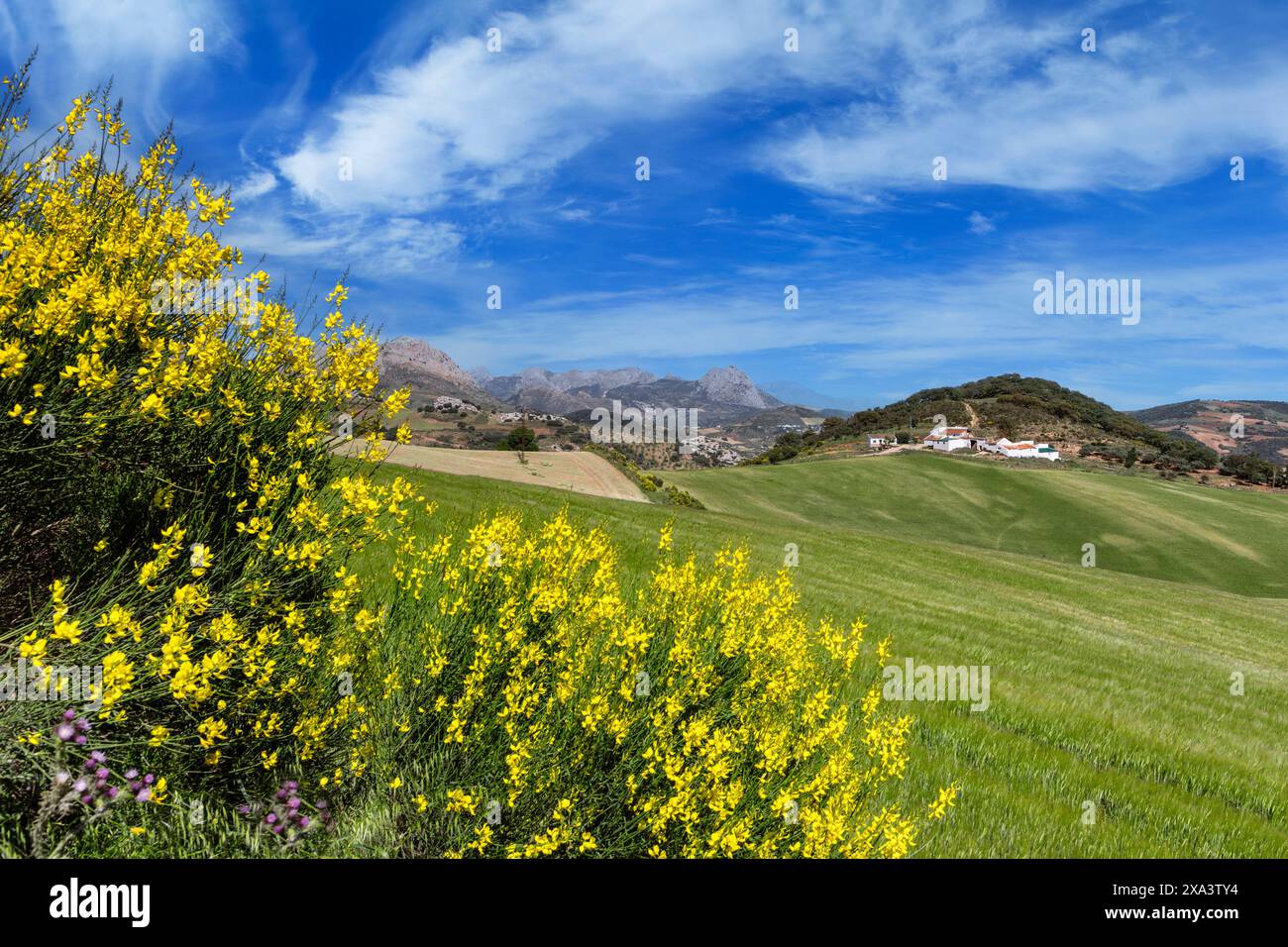 Ackerland am Rande von El Torcal, einer Kalksteinregion in der Nähe von Antequera, Provinz Malaga, Andalusien, Spanien Stockfoto
