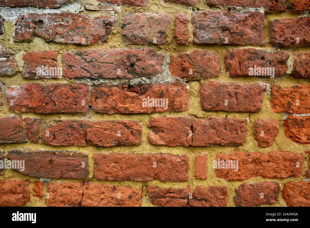 Alte rote englische Ziegelsteinmauerwerk mit gelbem Mörtel. Stockfoto