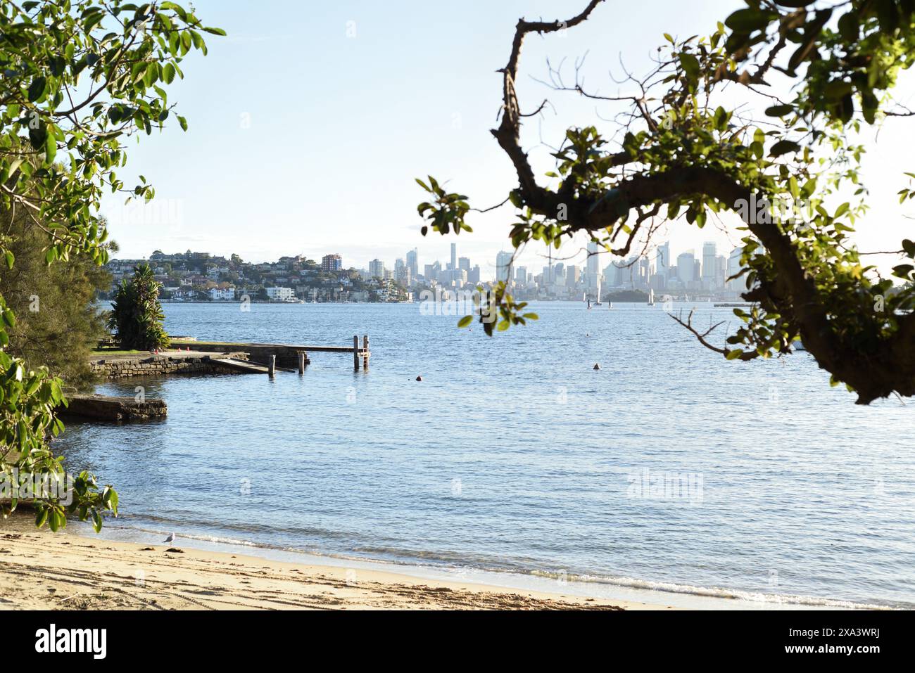 Bootsanleger und Wasser vom Hermitage Foreshore Beach in Vaucluse bis zur Skyline von Sydney CBD, Hochhäuser, Stockfoto