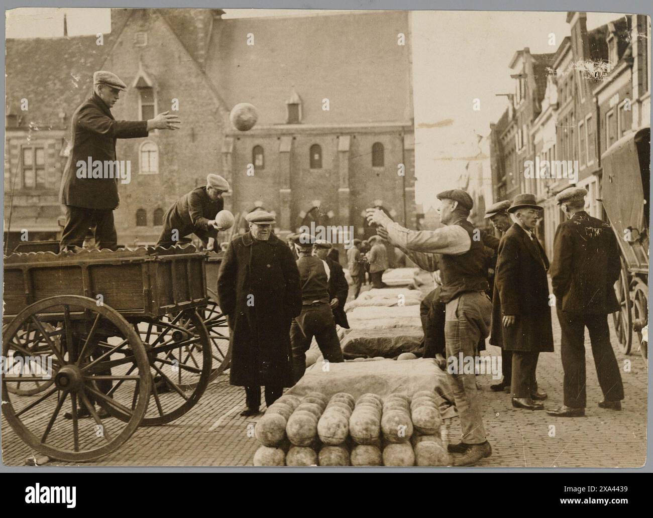 Käsemacher arbeiten auf dem Käsemarkt auf dem Waagplein. Das Houttil befindet sich auf der rechten Seite. Alkmaar , Niederlande um 1900. Vintage-Fotografie Anfang des 20. Jahrhunderts Stockfoto