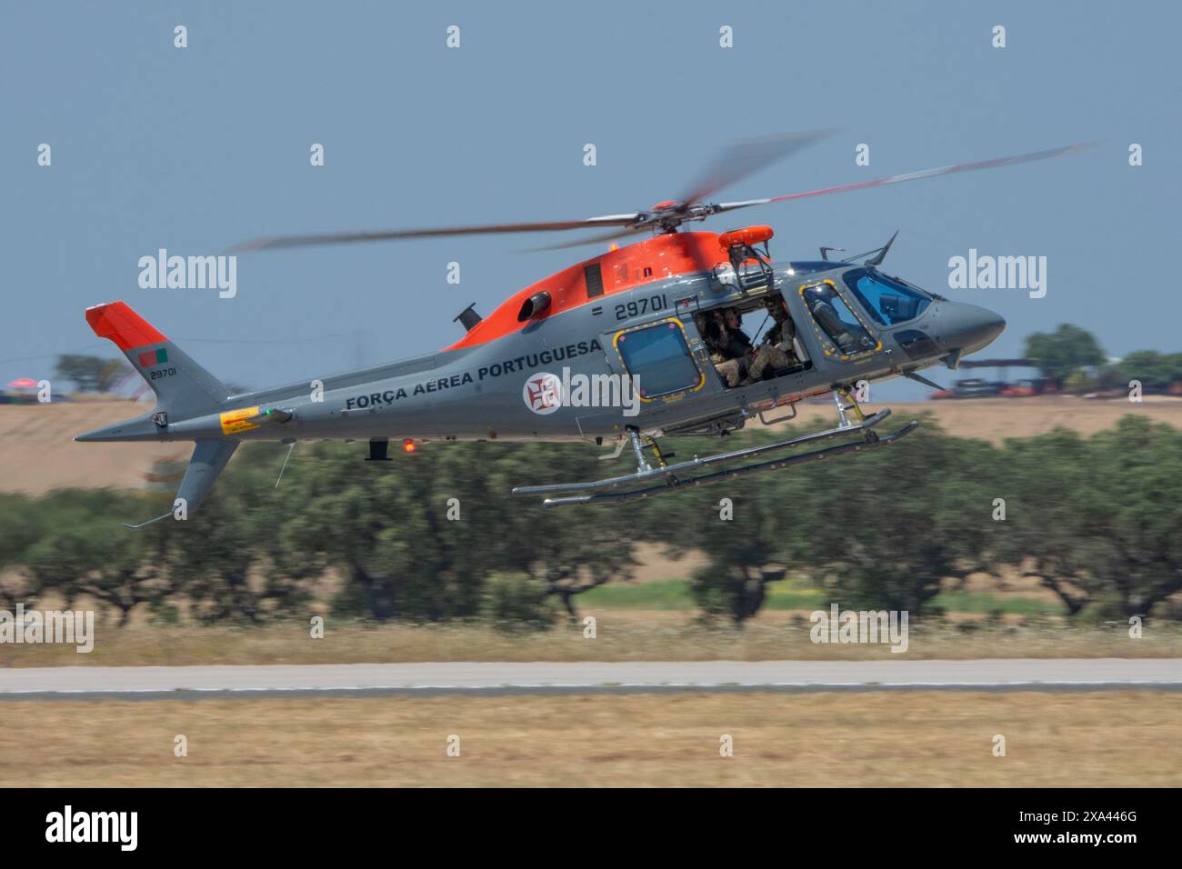 AW199 Koala Hubschrauber der portugiesischen Luftwaffe Stockfoto