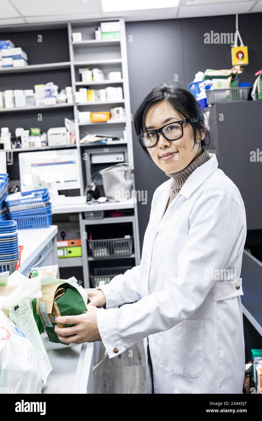 Wissenschaftler, die in einem Labor arbeiten, medizinische Abfertigung einer Arztpraxis Stockfoto