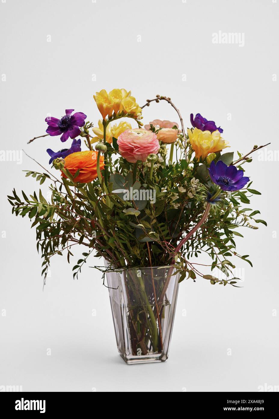 Lebendiges, mehrfarbiges Blumenarrangement in Vase vor weißem Hintergrund Stockfoto