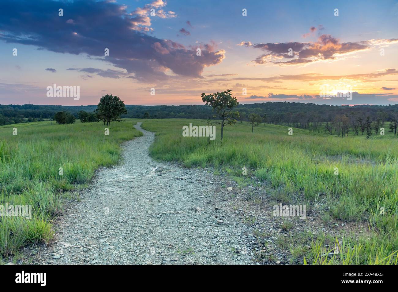 Serpentine Trail im Soldier's Delight Park Stockfoto