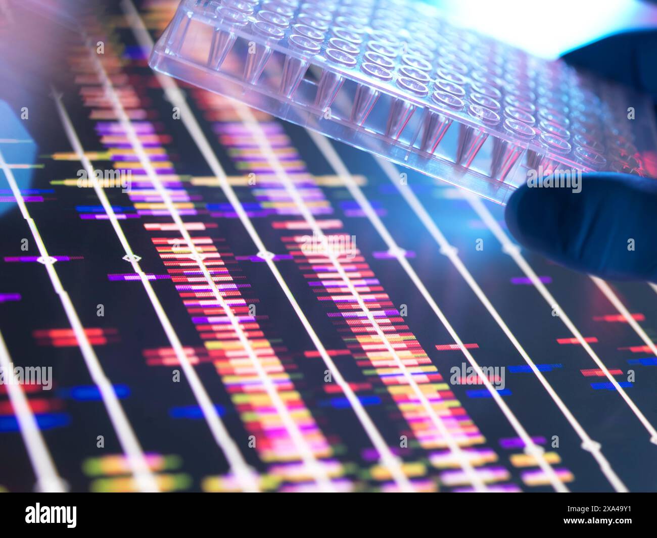 Genetische Forschung, Wissenschaftler, der eine Multi-Well-Platte hält, enthält DNA-Proben mit den DNA-Profilen auf einem Computerbildschirm. Stockfoto