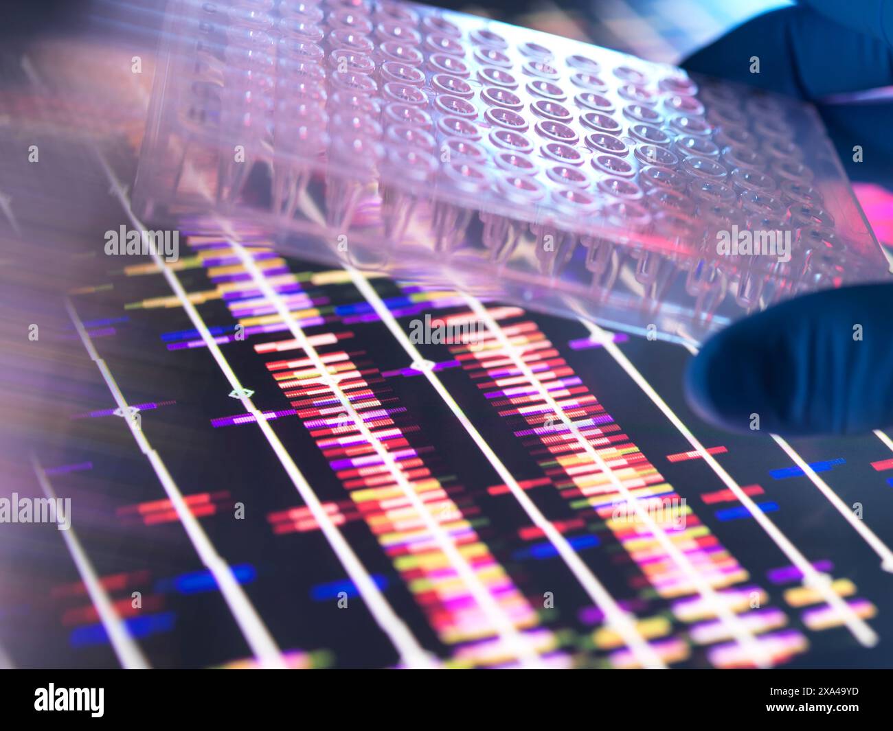 Genetische Forschung, Wissenschaftler, der eine Multi-Well-Platte hält, enthält DNA-Proben mit den DNA-Profilen auf einem Computerbildschirm. Stockfoto