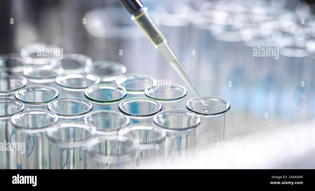 [Diverse]Pharmazeutische Forschung: Wissenschaftler pipettieren Proben während eines Experiments im Labor in ein Reagenzglas. Stockfoto