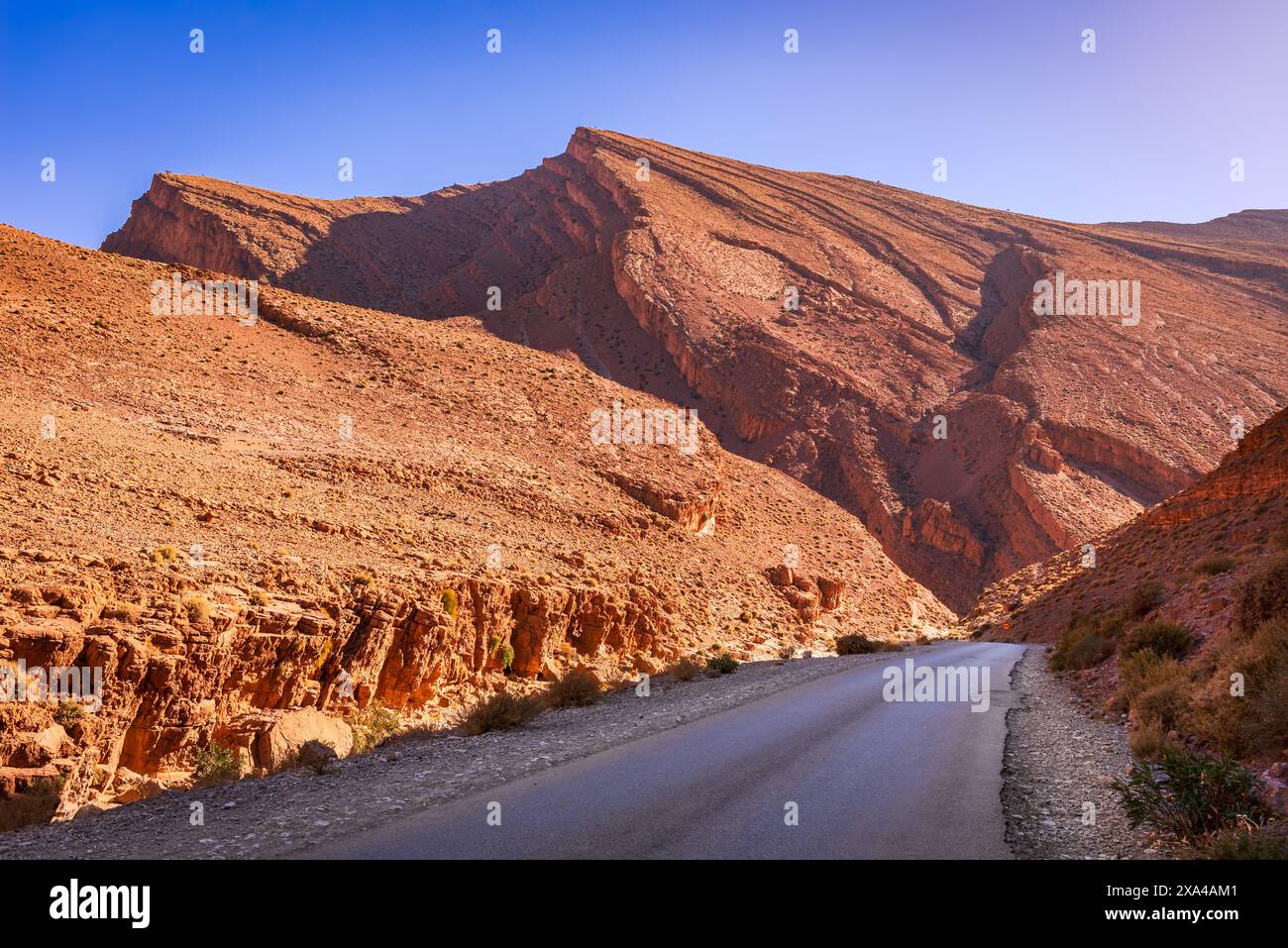 Todgha Gorge, Marokko. Kalksteinschluchten oder Wadi im östlichen Teil des Hohen Atlas, Nordafrika. Stockfoto