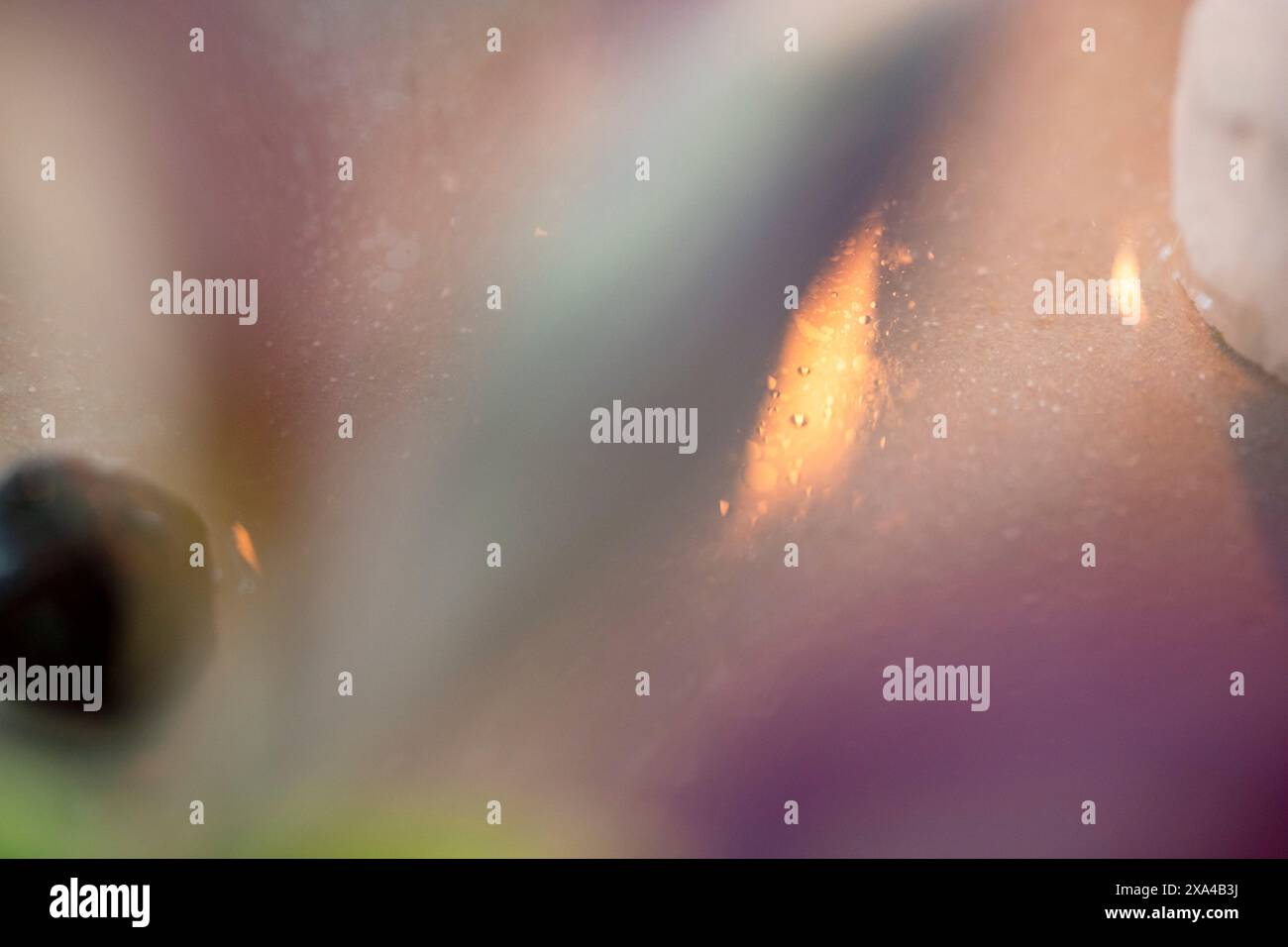 Dies ist ein abstraktes Nahbild mit Fokus auf Textur, Licht und Farbe, mit einem traumhaften oder verschwommenen Effekt. Stockfoto