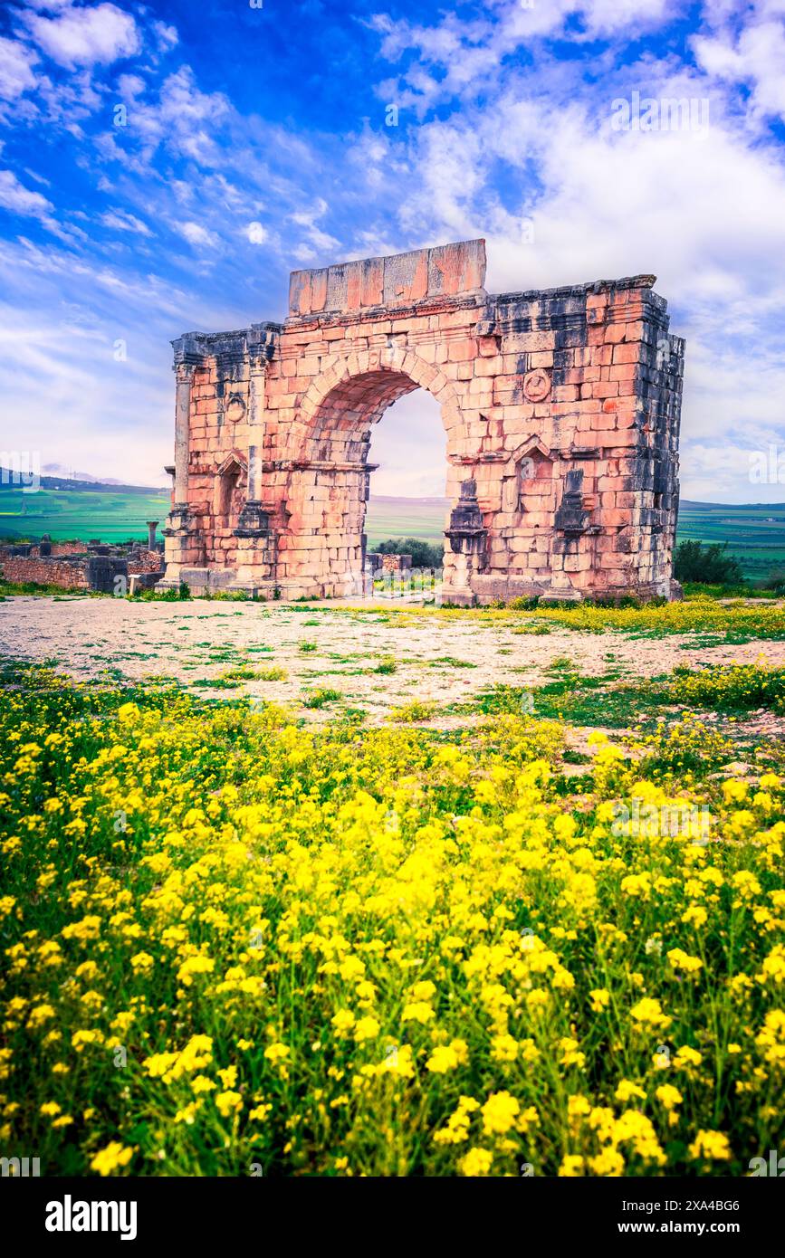 Volubilis, Marokko. Der antike Arch of Caracalla in der Stadt Nordafrika des Römischen Reiches, Provinz Mauretanien. Stockfoto