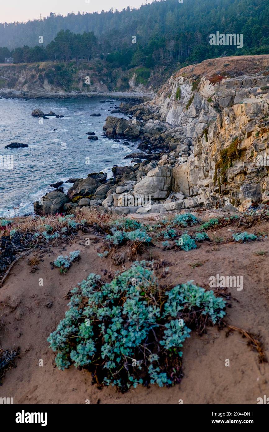 Eine malerische Küste mit zerklüfteten Klippen und felsigen Küsten vor dem Hintergrund dichter Wälder, unter einem trüben Himmel. Stockfoto