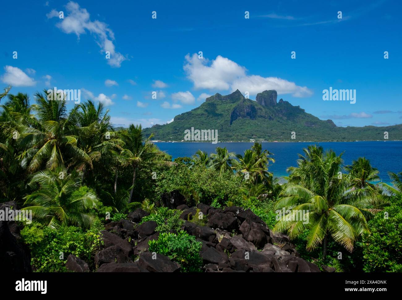 Tropisches Paradies mit üppigem Grün, schwarzen vulkanischen Felsen im Vordergrund, einem ruhigen blauen Ozean und einem majestätischen Berg unter einem hellblauen Himmel mit verstreuten Wolken. Stockfoto