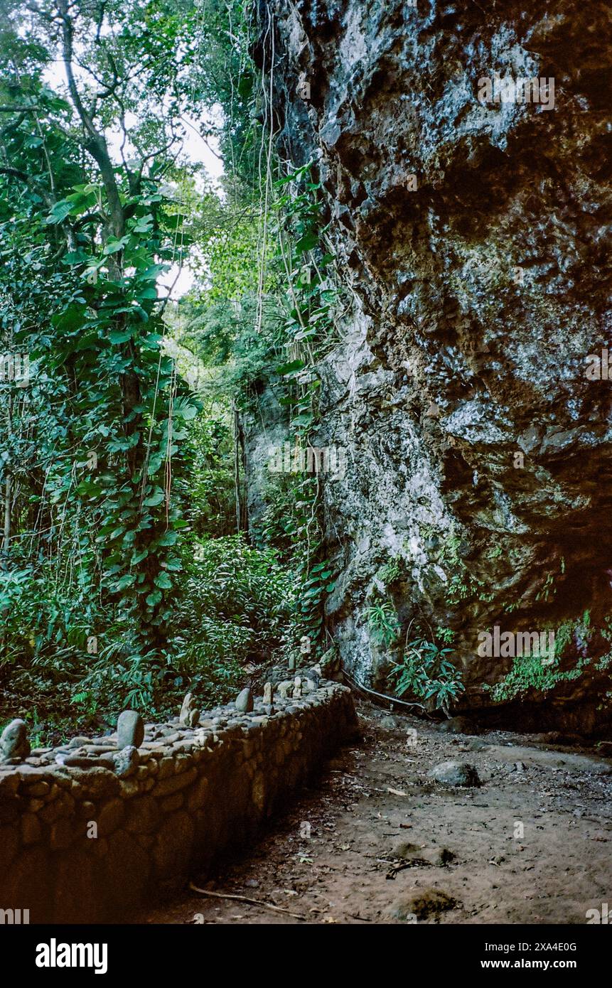 Ein ruhiger Fußweg in der Nähe eines felsigen Felsens, der mit üppigem Grün und Reben in einem bewaldeten Gebiet bewachsen ist. Stockfoto