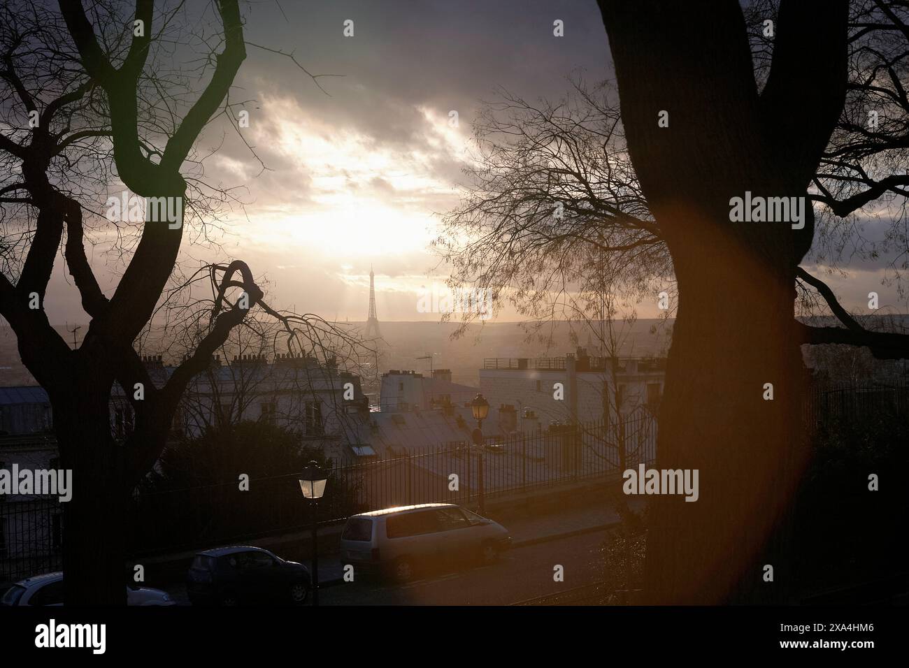 Ein ruhiger Sonnenuntergang hinter Silhouettenbäumen mit Blick auf die Stadtlandschaft mit Gebäuden und geparkten Autos. Stockfoto