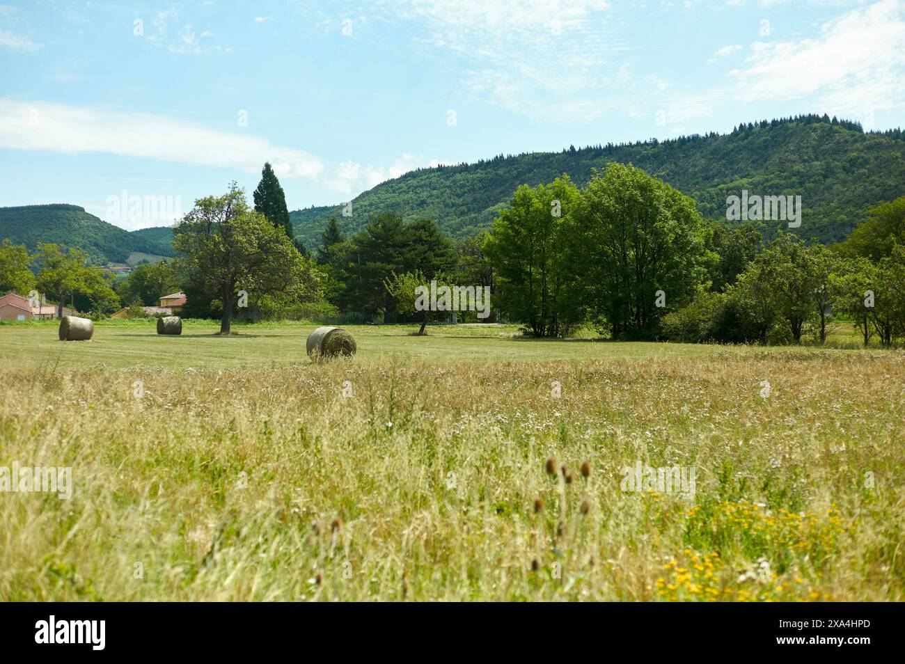 Eine ruhige Landschaft mit einem grasbewachsenen Feld mit Heuballen unter klarem Himmel, umgeben von üppigen Bäumen und einer hügeligen Kulisse. Stockfoto