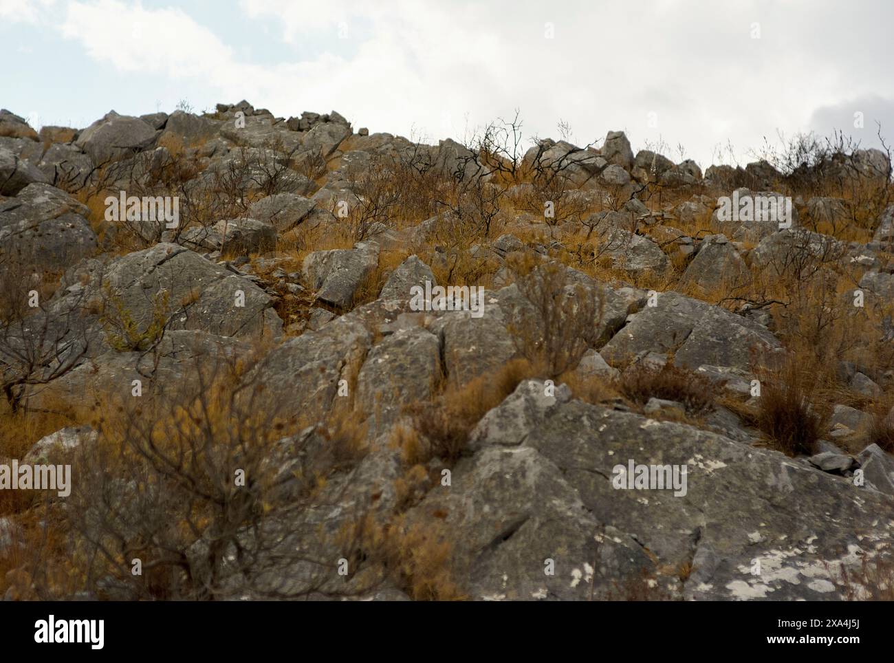 Ein felsiger Hügel, bedeckt mit verstreuten Felsbrocken und karger Vegetation unter einem bewölkten Himmel. Stockfoto