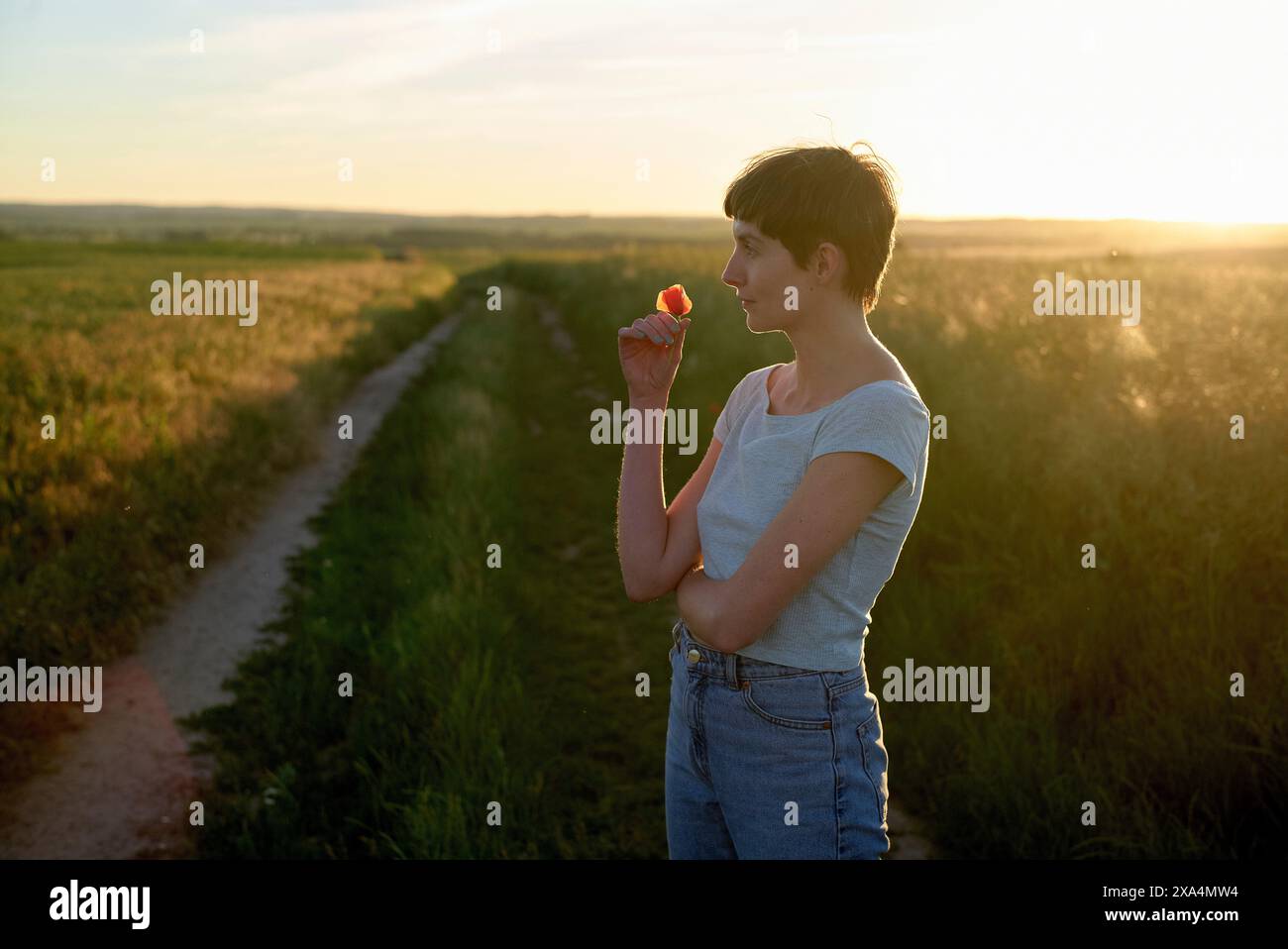 Eine Frau steht auf einem Feld bei Sonnenuntergang, riecht eine Blume, mit einem Schotterweg, der sich in die Ferne zieht. Stockfoto