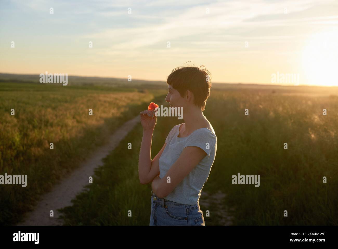 Eine junge Frau steht während des Sonnenuntergangs auf einem unbefestigten Pfad inmitten eines grasbewachsenen Feldes und riecht nach einer roten Blume. Stockfoto