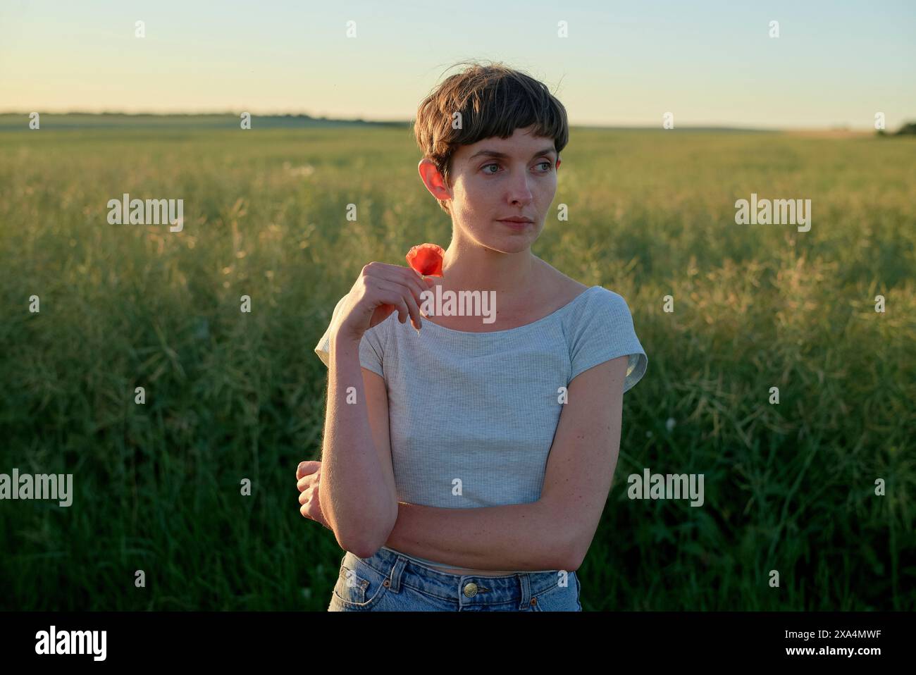 Eine junge Frau mit kurzen Haaren steht in der Abenddämmerung auf einem Feld und hält eine Blume auf der Schulter. Stockfoto