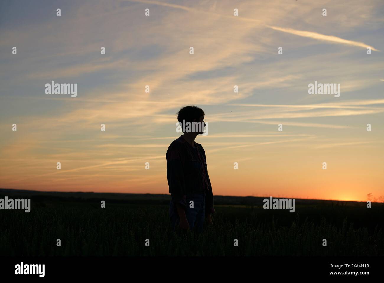 Silhouette einer Person, die bei Sonnenuntergang auf einem Feld steht, mit warmen Farben und Wolkenstreifen. Stockfoto
