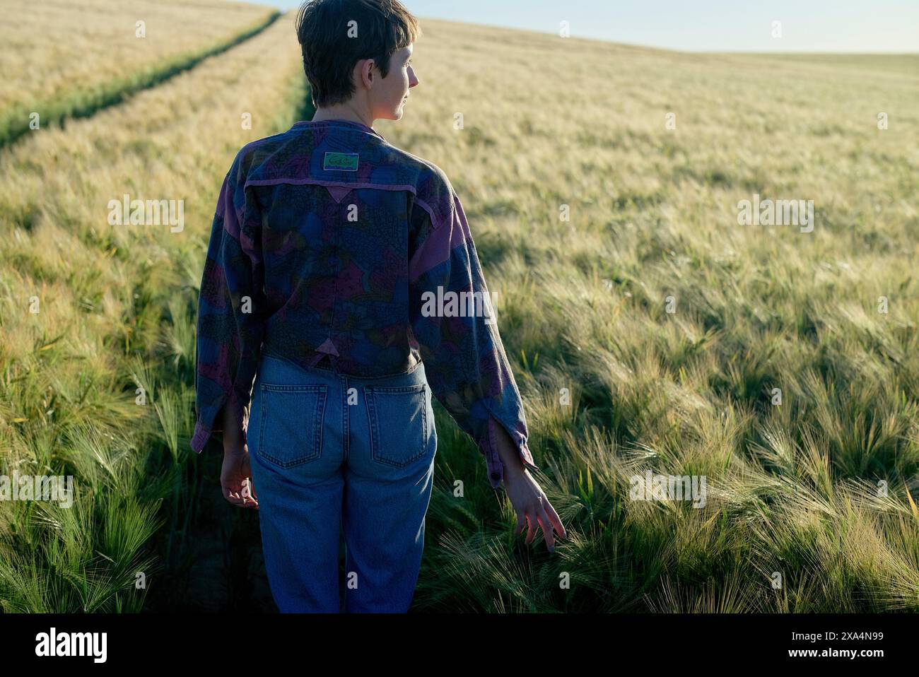 Eine junge Frau, die in einem grünen Weizenfeld steht, mit dem Rücken zur Kamera in die Ferne blickt, während sie ein gemustertes Hemd und Jeans während des Sonnenlichts der goldenen Stunde trägt. Stockfoto