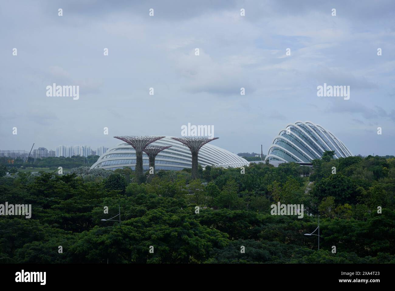 Architektur der Gärten an der Bucht mit ihren unverwechselbaren Superbäumen und Flower Dome in Singapur. Stockfoto