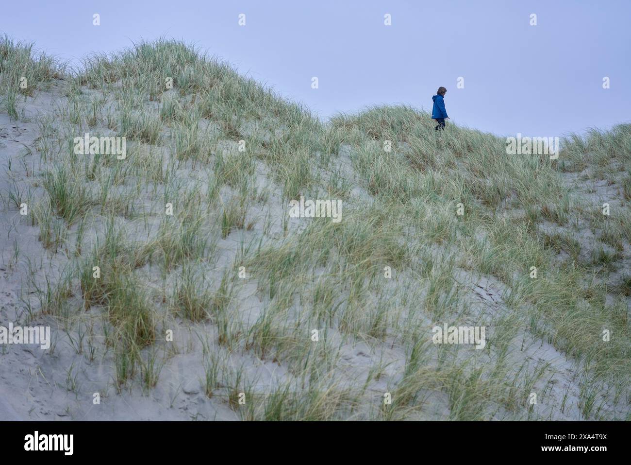 Ein einsamer Mensch sitzt besinnlich auf einer grasbewachsenen Sanddüne unter einem sanften blauen Himmel. Stockfoto