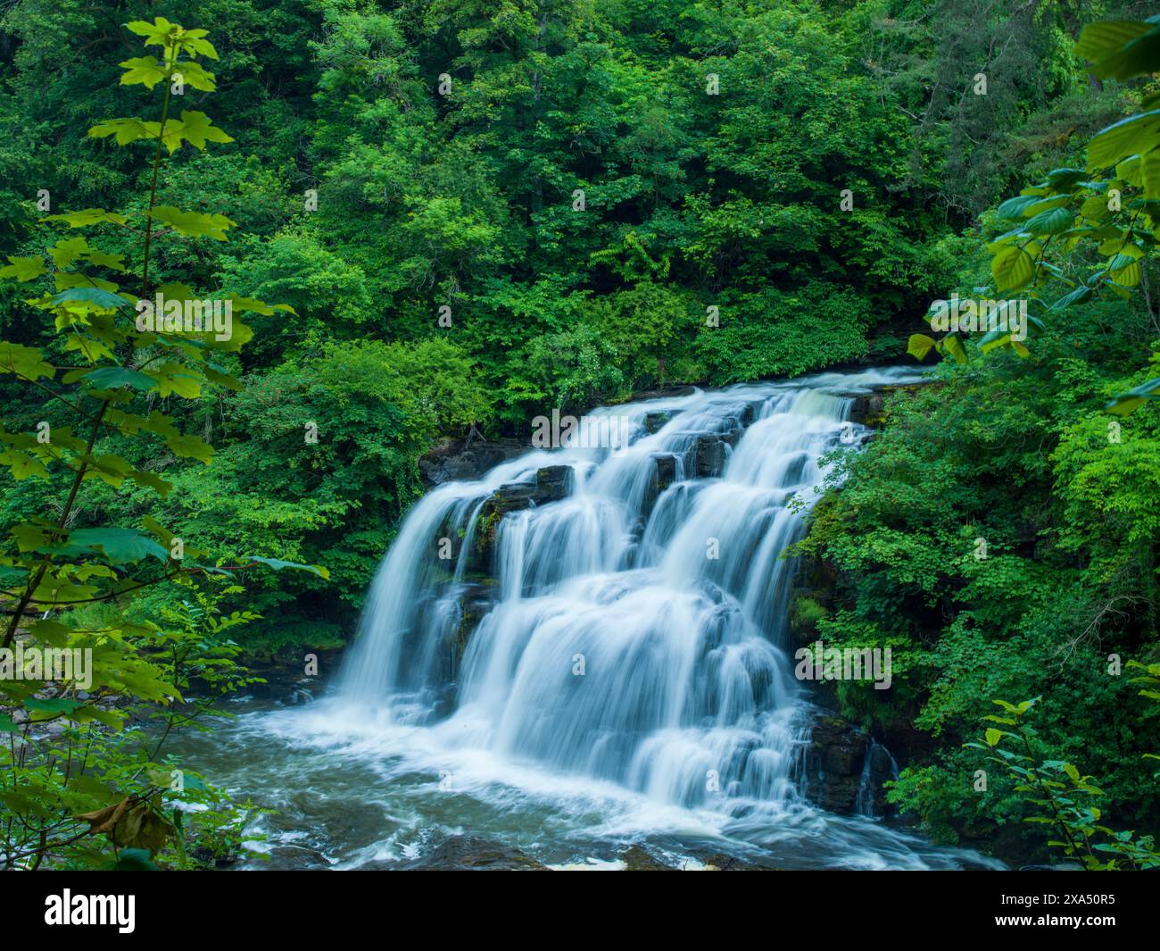 Ein kaskadenförmiger Wasserfall, umgeben von üppigem Grün in einer ruhigen Waldlandschaft. Stockfoto
