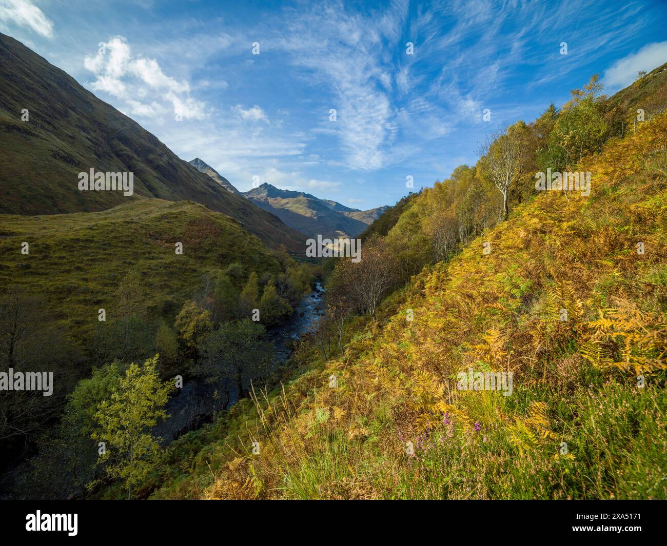 Ein malerischer Blick auf ein üppiges Tal mit einem Fluss, einer lebendigen Flora und einer Bergkette unter einem teilweise bewölkten blauen Himmel. Cairngorms Nationalpark Stockfoto
