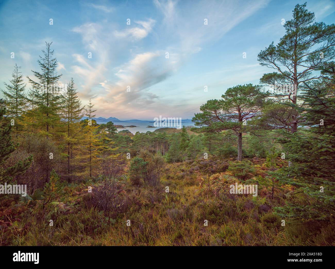 Eine ruhige Landschaft in der Dämmerung mit einer Vielzahl von Bäumen und einem Blick auf ferne Berge unter einem sanft bemalten Himmel. Loch Sunart Schottland Stockfoto