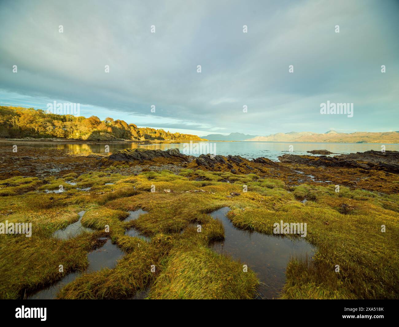 Malerische Aussicht auf eine ruhige Küste mit einem üppigen grünen Vorgrund und einem ruhigen Gewässer, unter einem weiten Himmel mit weichen Wolken, die das sanfte Licht einer untergehenden Sonne reflektieren. Isle of Sky Stockfoto