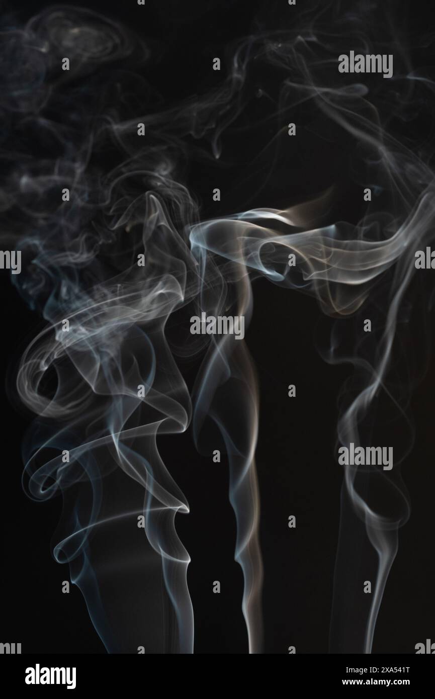 Magische transparente Rauchlinien auf schwarzem Studiohintergrund Stockfoto