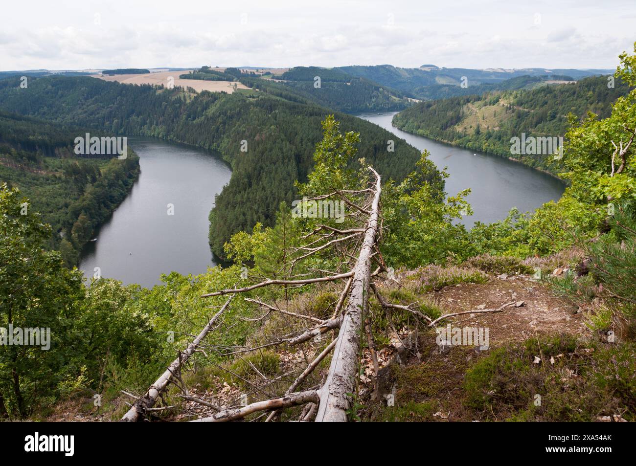 Ein malerischer Blick auf die Saale schlängelt sich durch Wälder im Thüringer Schiefergebirge, Deutschland Stockfoto