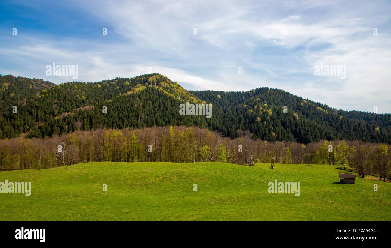 Ländliche Szene mit einer kleinen Hütte auf einem grasbewachsenen Feld, hinter einem bewaldeten Hügel Stockfoto