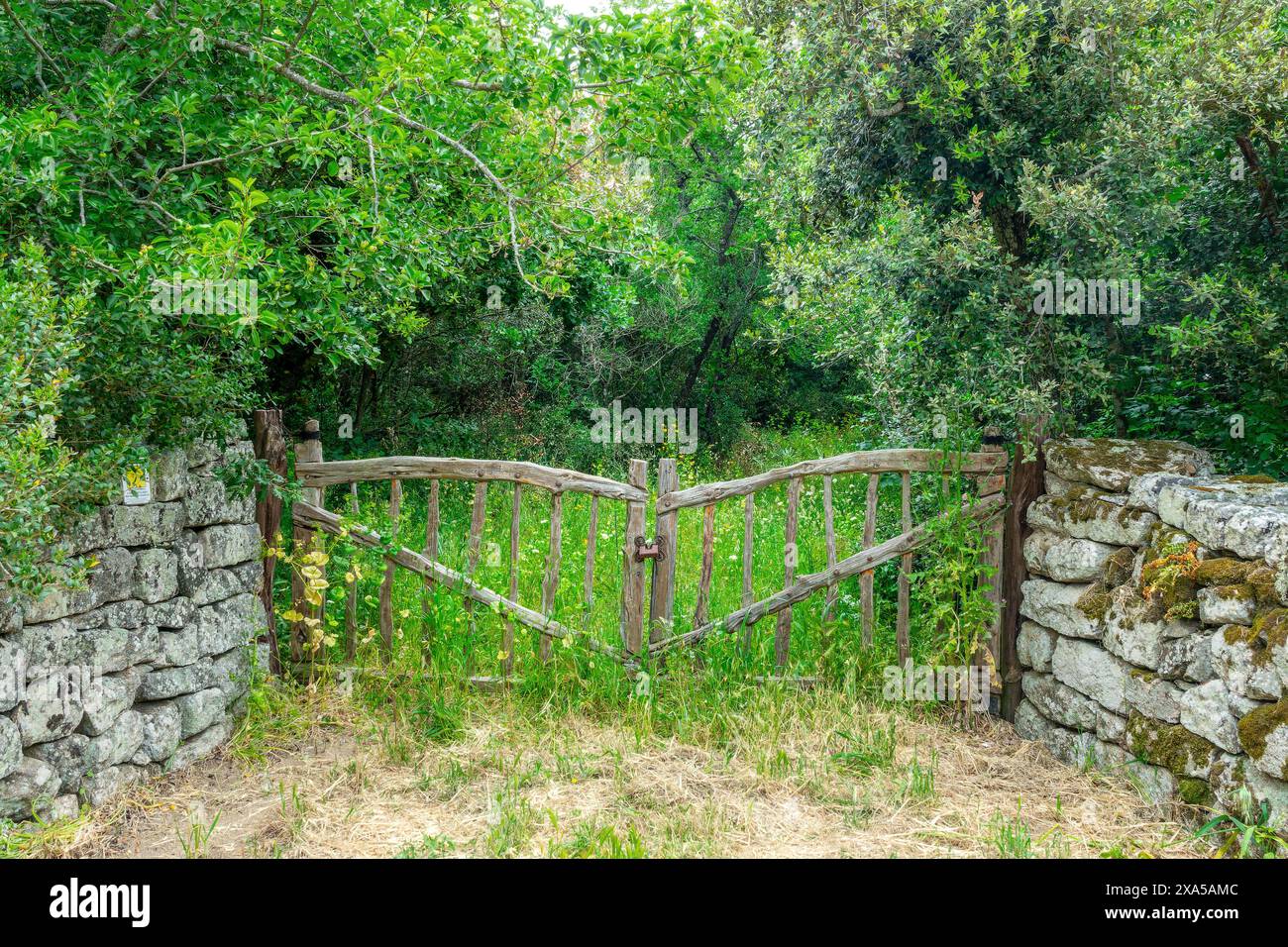 Altes rustikales Holztor und Steinmauer in einem grünen grasbewachsenen Feld mit Bäumen in den Bergen Sardiniens, Italien Stockfoto
