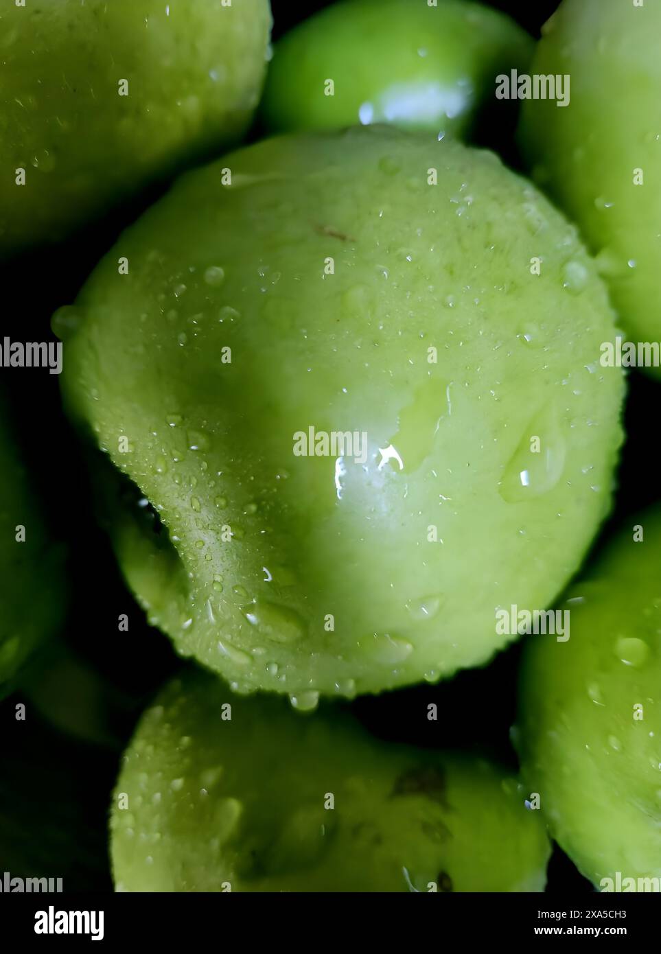 Frische grüne Äpfel in einer eleganten schwarzen Schüssel mit Wassertropfen Stockfoto