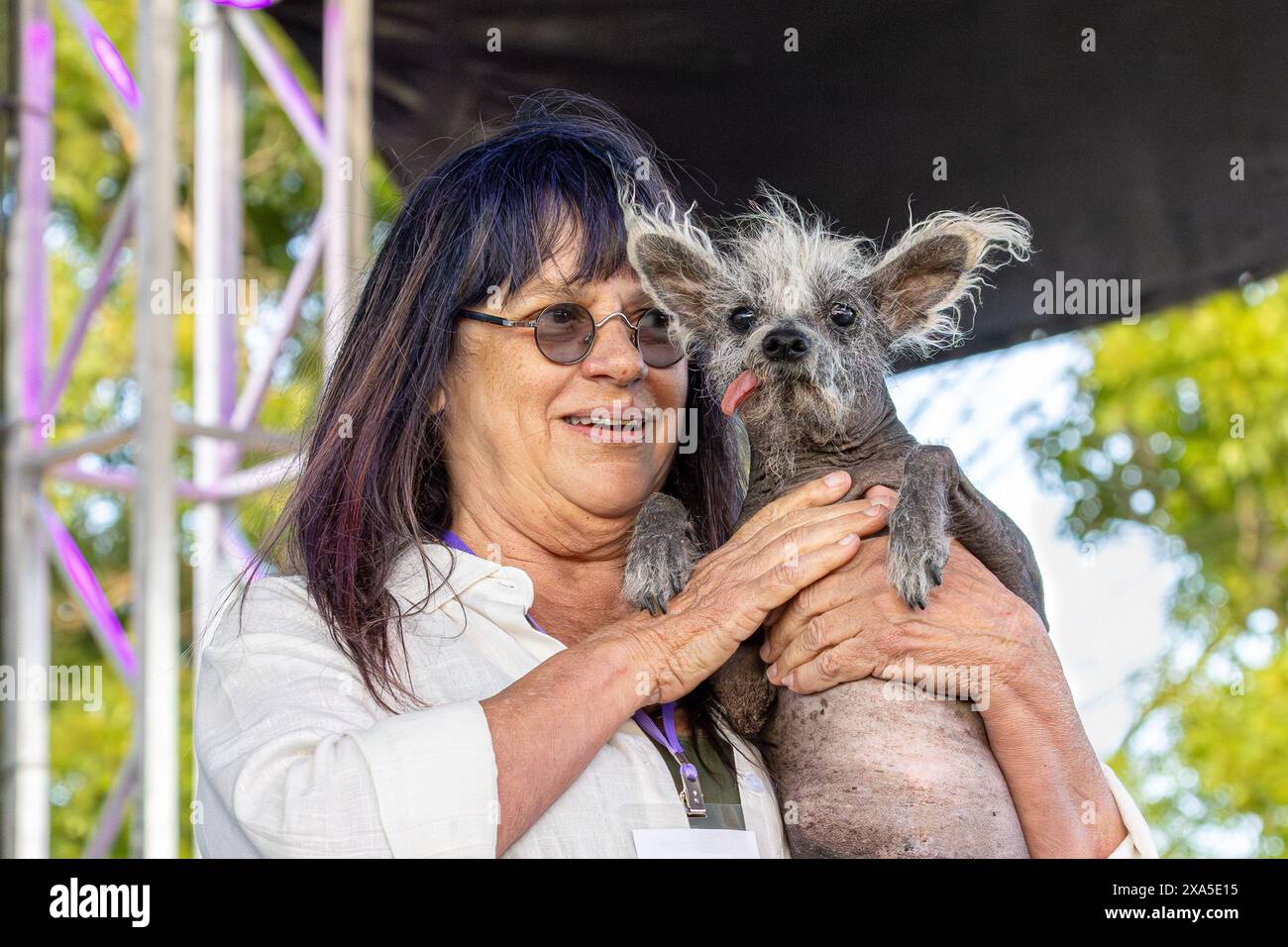 Petaluma, Kalifornien, USA. Juni 2023. Linda Elmquist und „Scooter“, eine 7-jährige Chinesische Wappenfigur, ist die Gewinnerin des 2023 World's hässlichsten Hundes Stockfoto