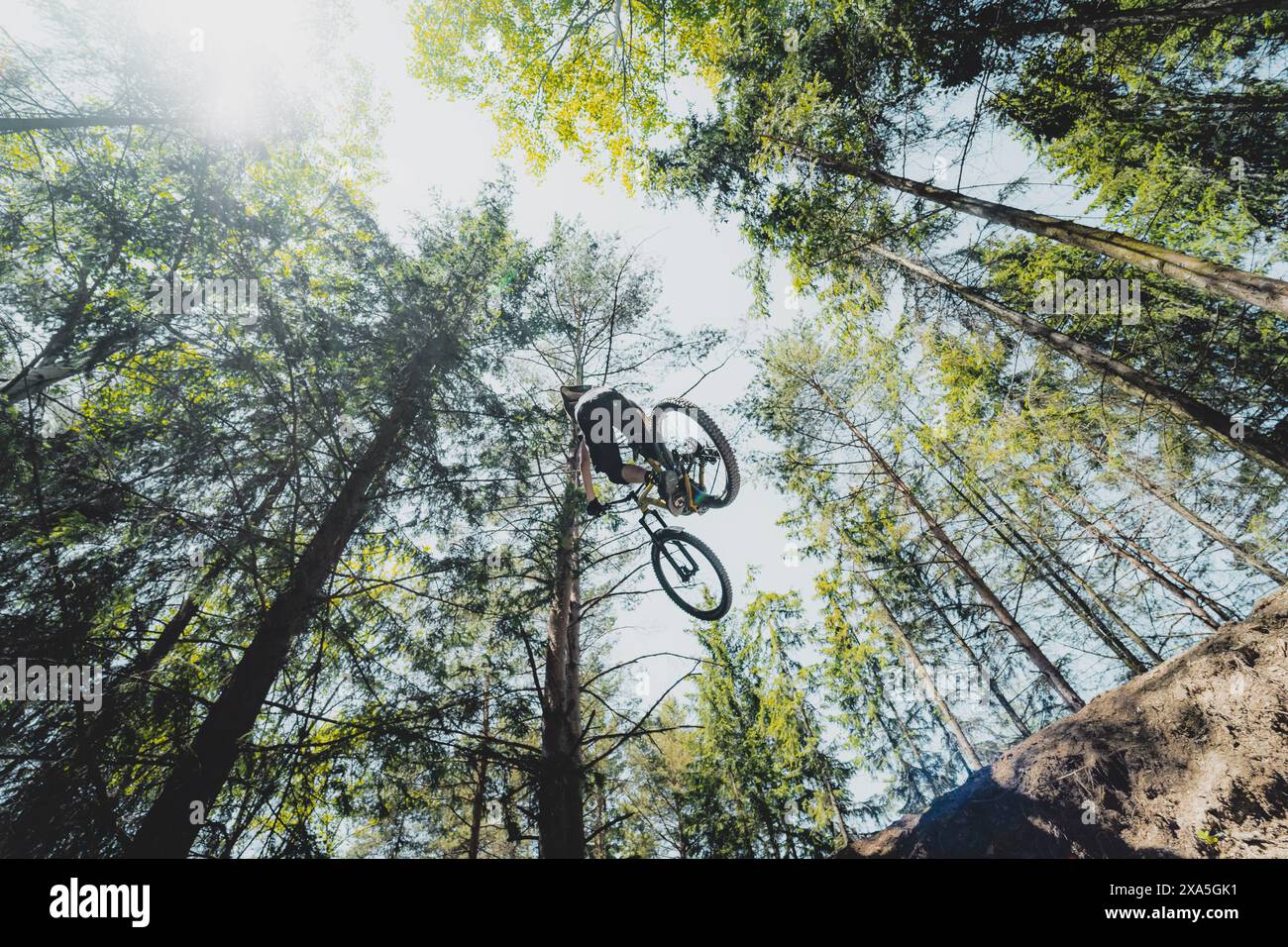 Ein Mountainbiker, der auf einem unbefestigten Waldweg fährt. Stockfoto