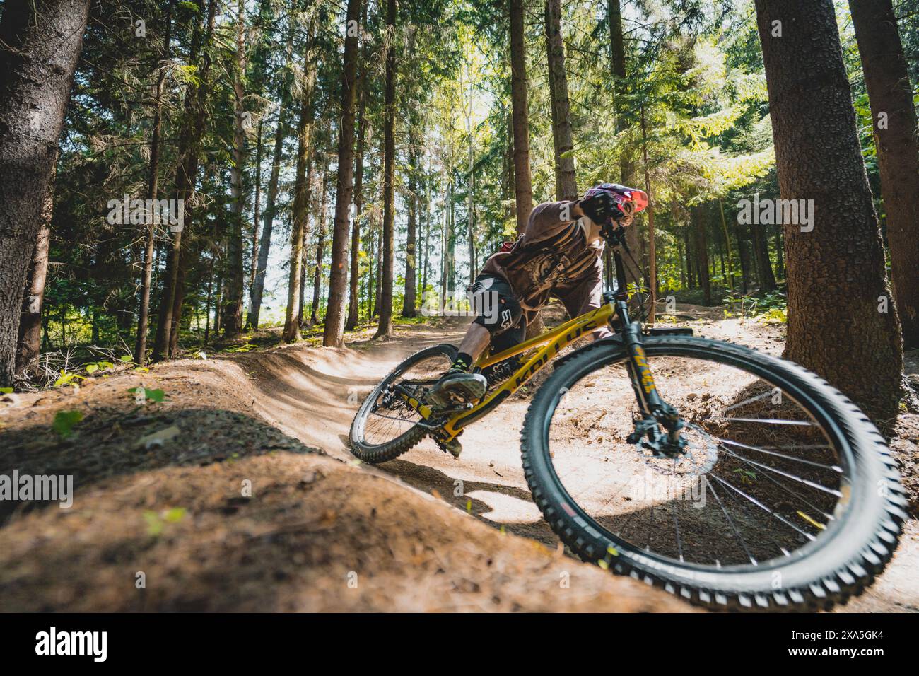 Ein Mountainbiker, der auf einem unbefestigten Waldweg fährt. Stockfoto