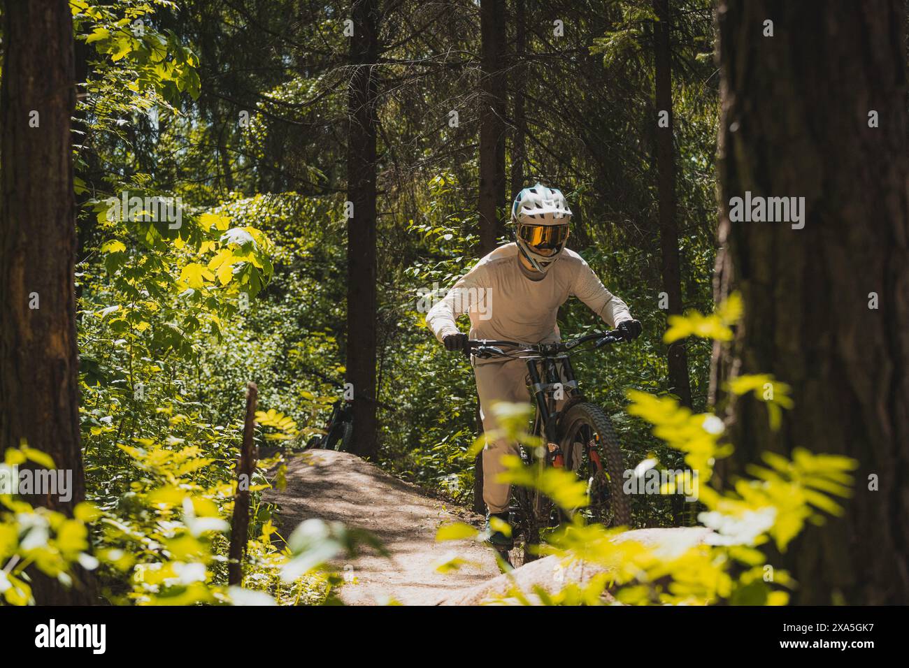 Ein Mountainbiker, der auf einem unbefestigten Waldweg fährt. Stockfoto