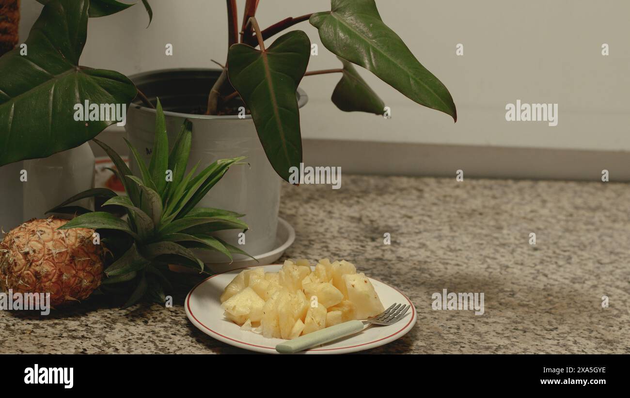 Ein Teller mit gehackter frischer Ananasfrucht als gesunder veganer Sommersnack auf einer Küchenplatte neben einer Topfpflanze Stockfoto