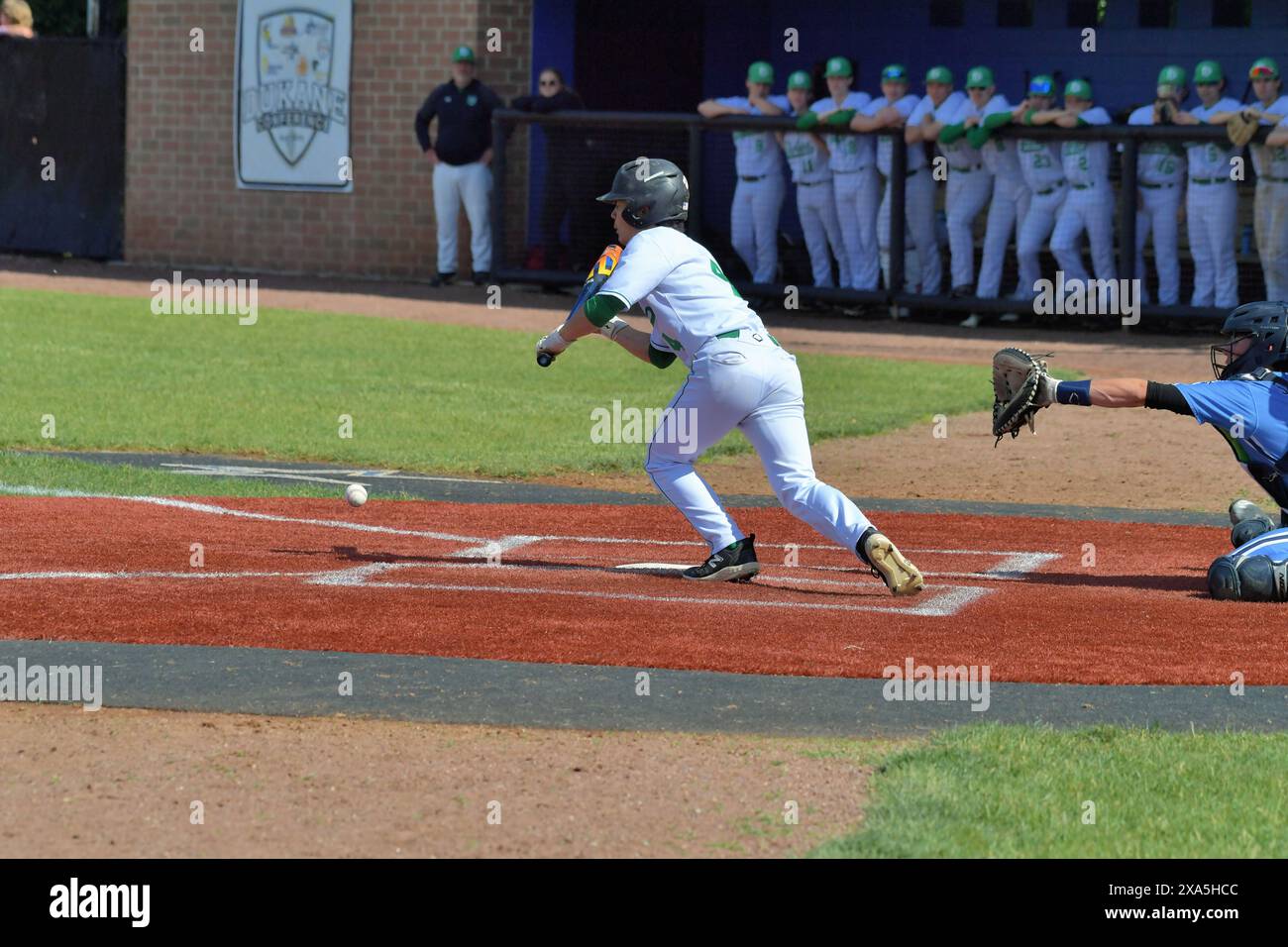 Illinois, USA. Batter versucht, einen Opferbunt niederzulegen, um die Baserunner voranzubringen. Stockfoto