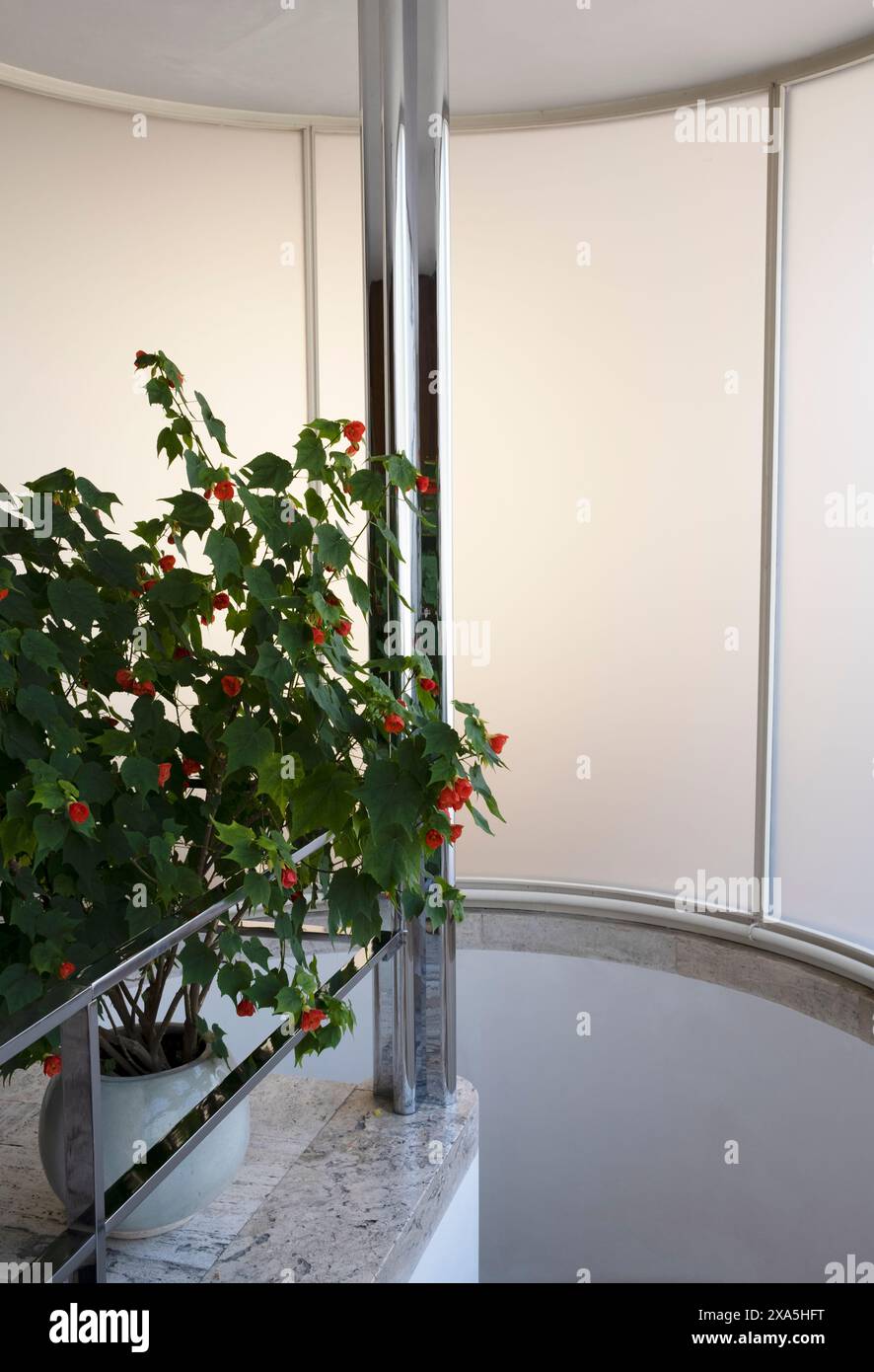 Blick auf die Glasfassade der Villa Tugendhat in Brünn, Tschechische Republik Stockfoto